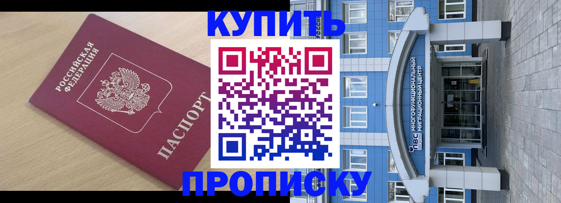 временная регистрация для всех в Барыше